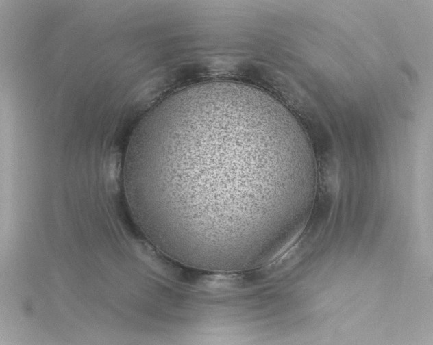 X0000116060082200912041903