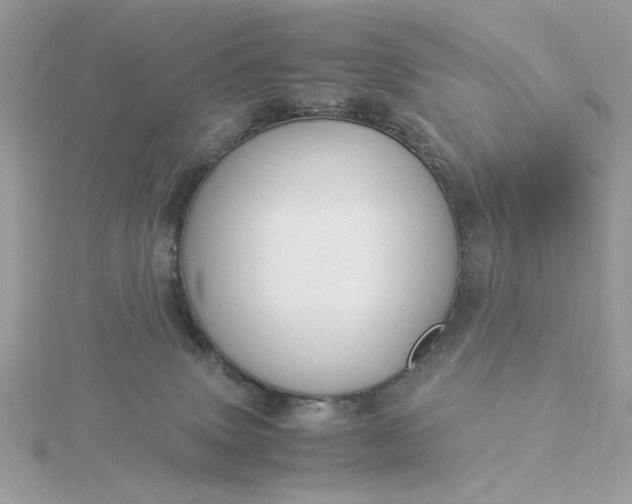 X0000116060083200912041903