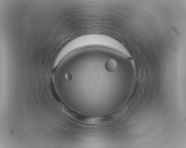 X0000116060084200912041903