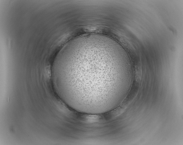 X0000116060085200912041903