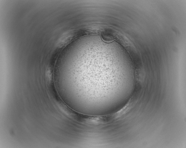 X0000116060086200912041903