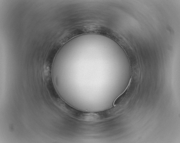 X0000116060087200912041903