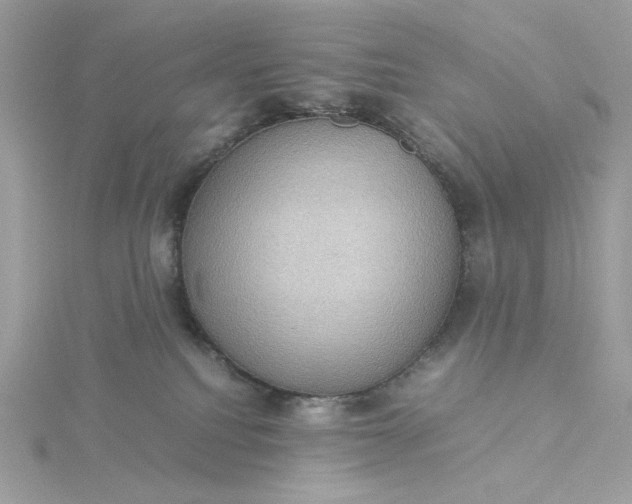 X0000116060088200912041903