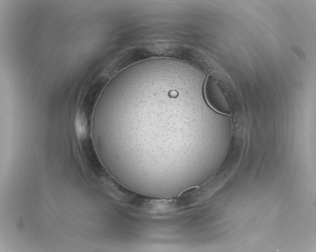 X0000116060089200912041903