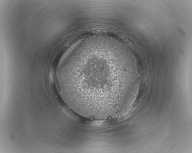 X0000116060090200912041903