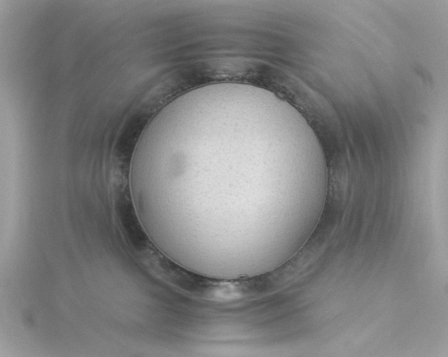 X0000116060091200912041903