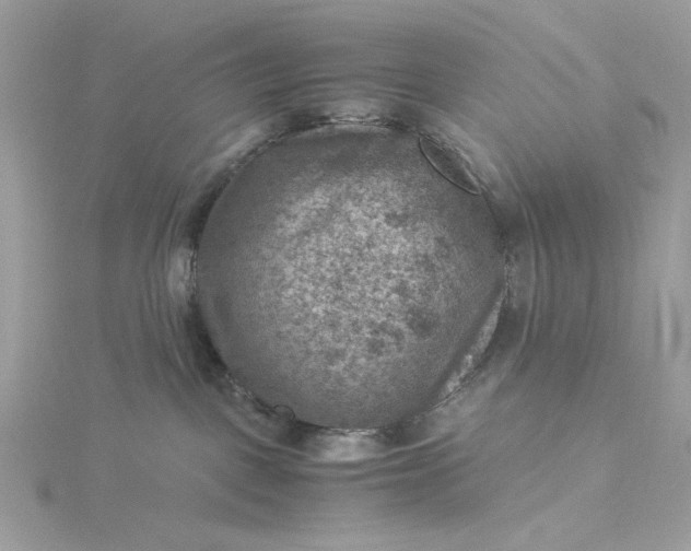 X0000116060093200912041903