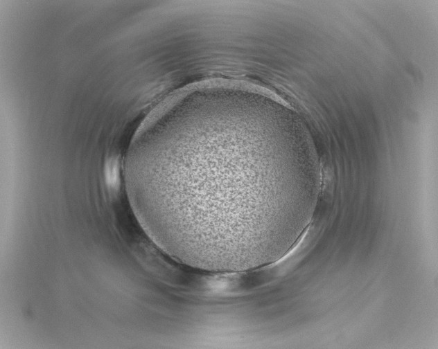 X0000116060094200912041903