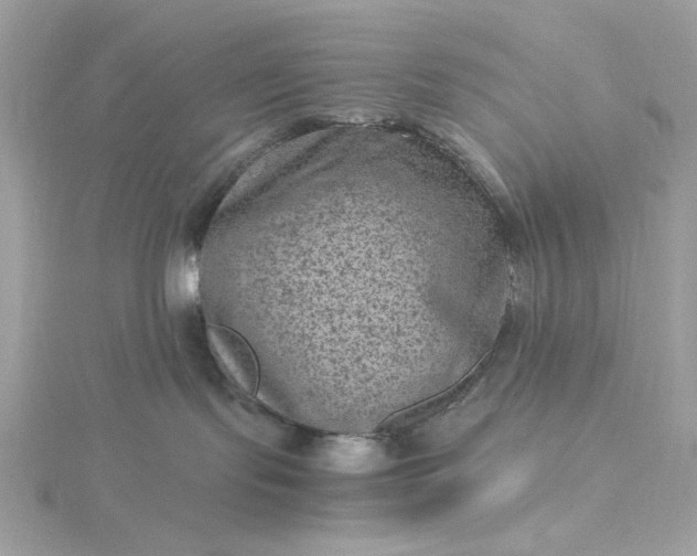 X0000116060095200912041903