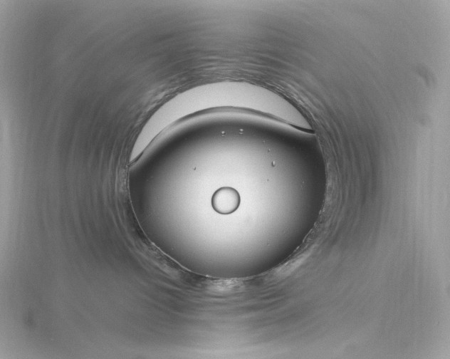 X0000116060096200912041903