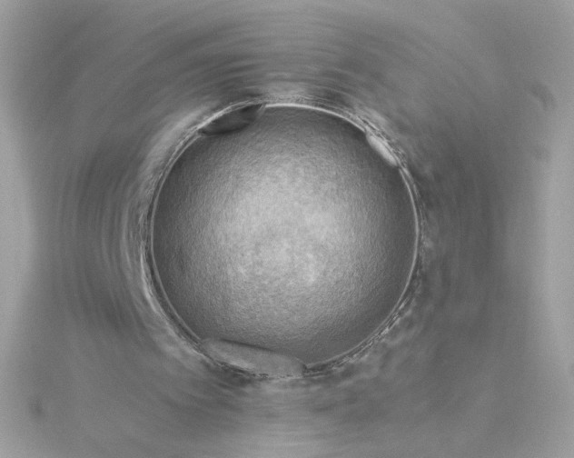 X0000116060097200912041902