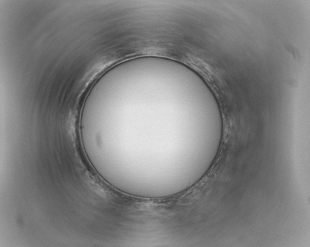 X0000116060098200912041902