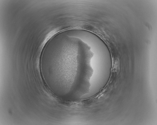 X0000116060099200912041902