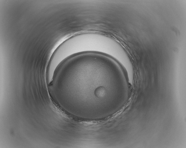 X0000116060100200912041902