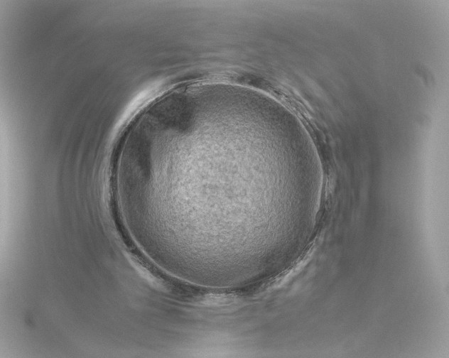 X0000116060101200912041902