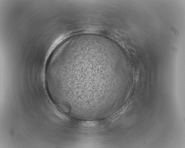 X0000116060102200912041902