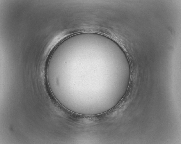 X0000116060103200912041902