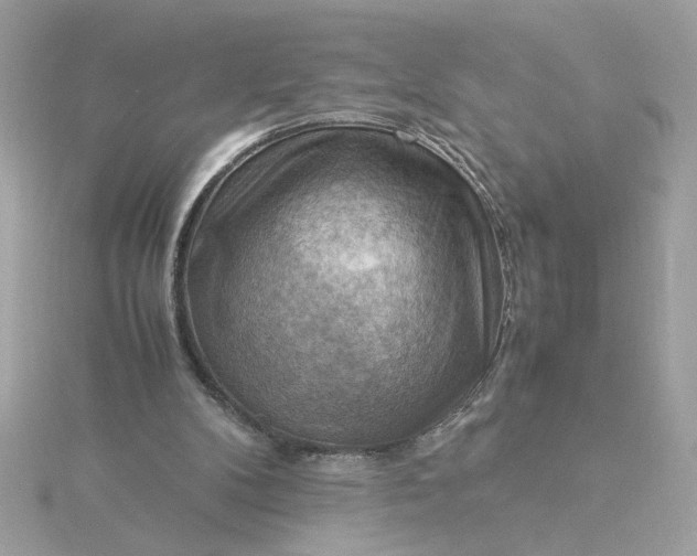 X0000116060104200912041902