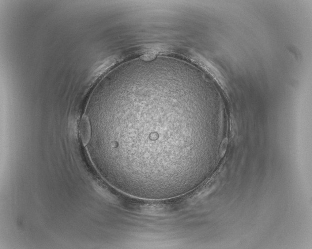 X0000116060105200912041902