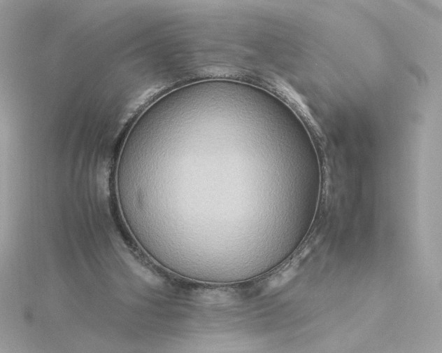 X0000116060106200912041902