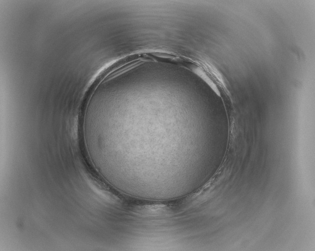 X0000116060108200912041902