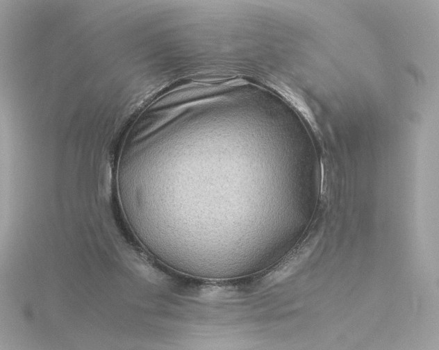 X0000116060109200912041902