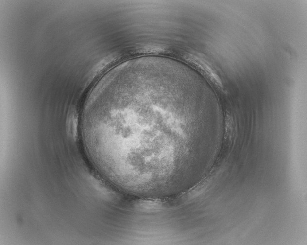 X0000116060110200912041902