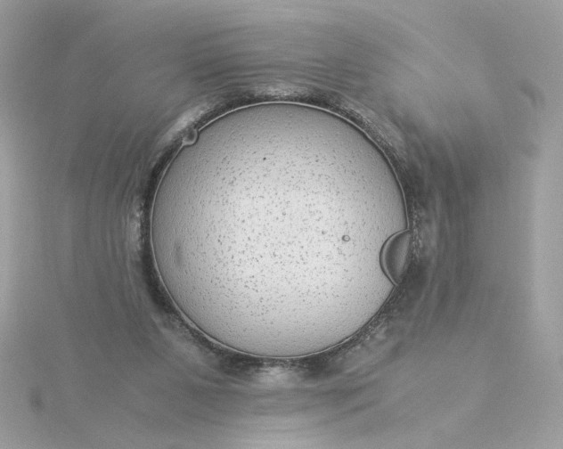 X0000116060111200912041902