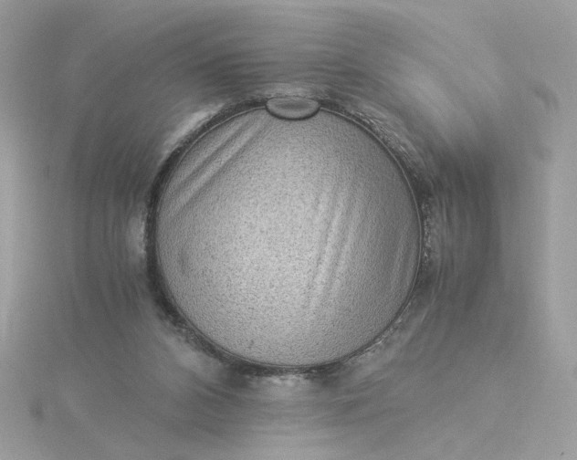 X0000116060112200912041902