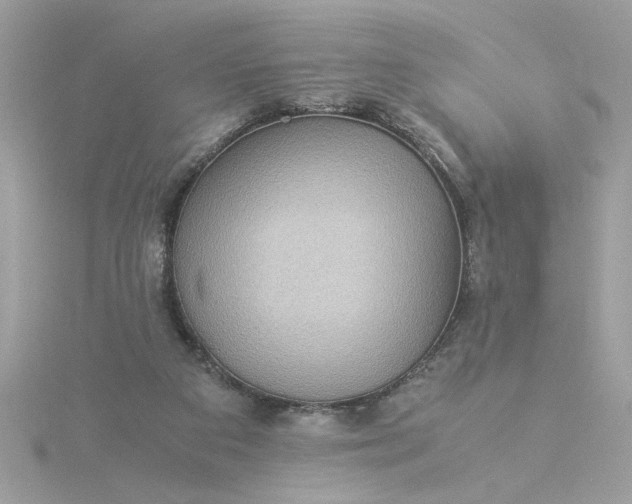 X0000116060113200912041902