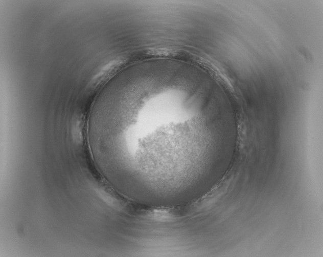 X0000116060114200912041902