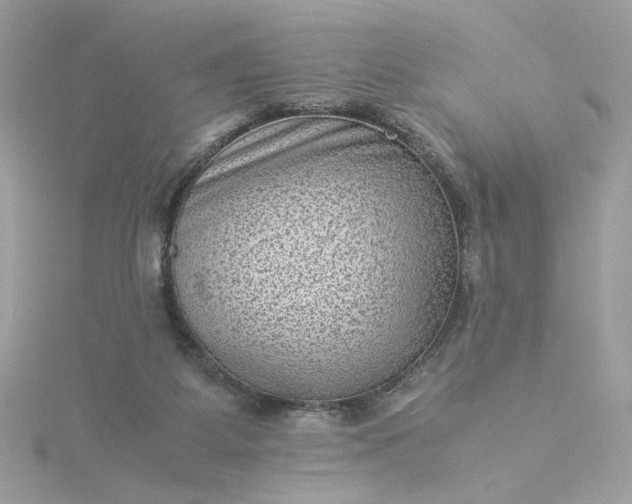 X0000116060115200912041902