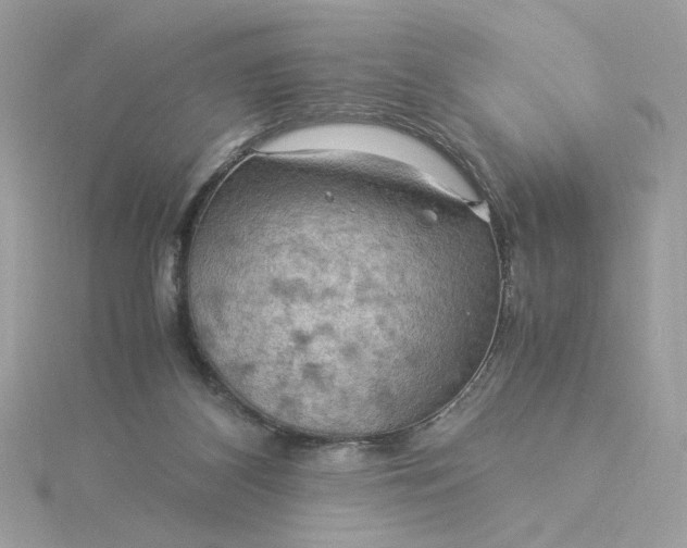 X0000116060116200912041902