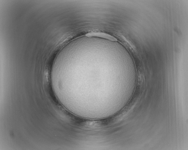 X0000116060117200912041902