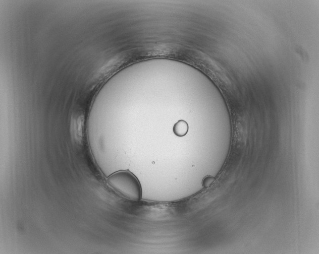 X0000116060118200912041902