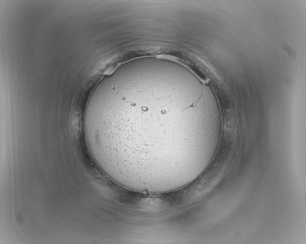 X0000116060119200912041902