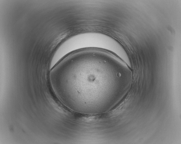 X0000116060120200912041902