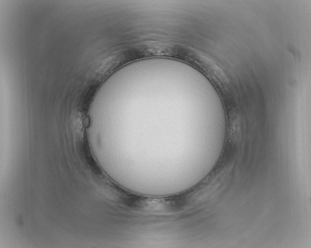 X0000116060121200912041902