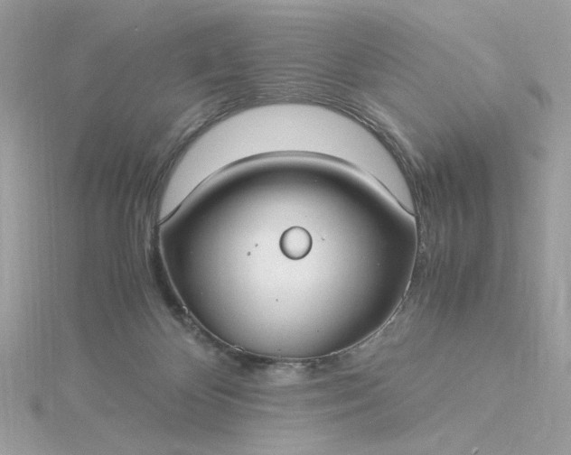 X0000116060124200912041902