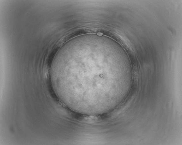 X0000116060125200912041902