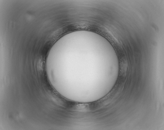 X0000116060126200912041902