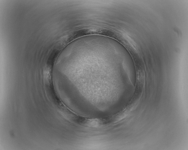 X0000116060127200912041902