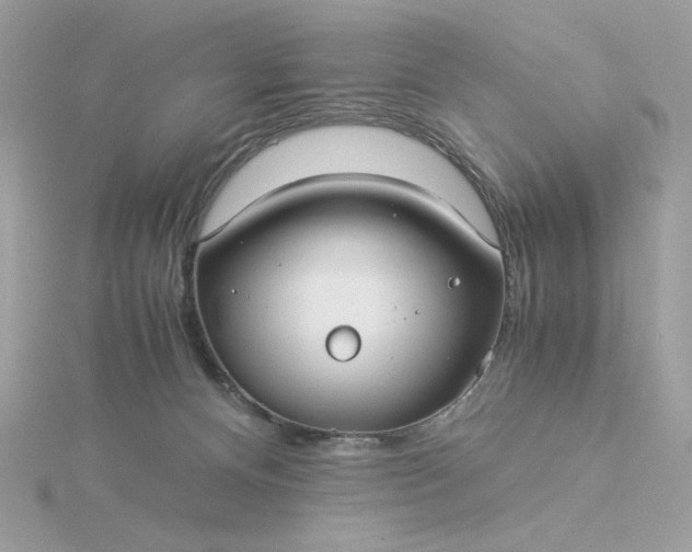 X0000116060128200912041902