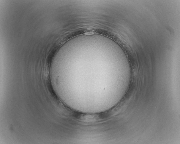 X0000116060129200912041902