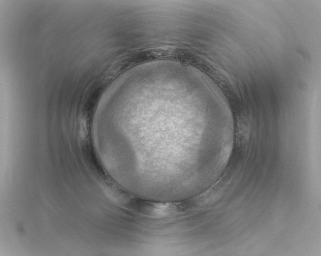 X0000116060130200912041902