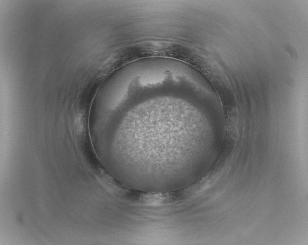 X0000116060131200912041902