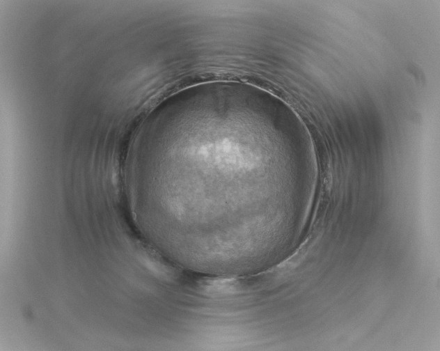 X0000116060132200912041902