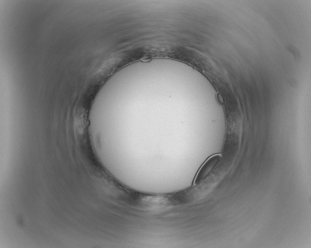 X0000116060133200912041902