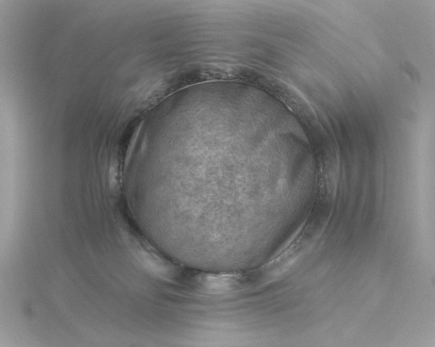 X0000116060134200912041902