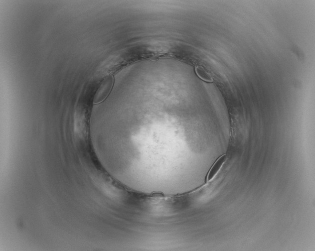 X0000116060136200912041902